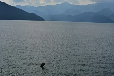 DSC_3933 (Large).JPG